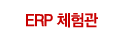 ERP ü